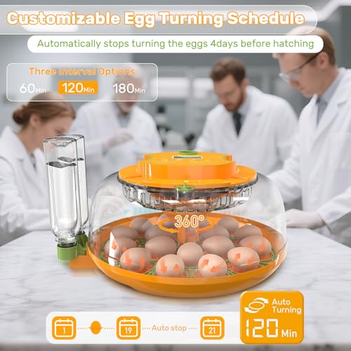 18 Egg Incubators for Hatching Eggs, Egg Incubator Incubator with Automatic Turning and Humidity Control, Auto Water Replenishment, 2 Size Trays, Air Vent, for Chicken Duck Quail Goose Eggs
