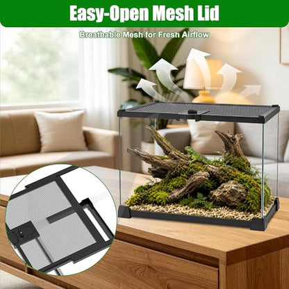 Mini Glass Terrarium Tank 8"x8"x6" with Top-Opening Mesh Lid, 360° Clear View, Ventilated Enclosure for Tarantulas, Jumping Spiders, Isopods, Froglets, & Small Reptiles - size: 8" x 8" x 6"