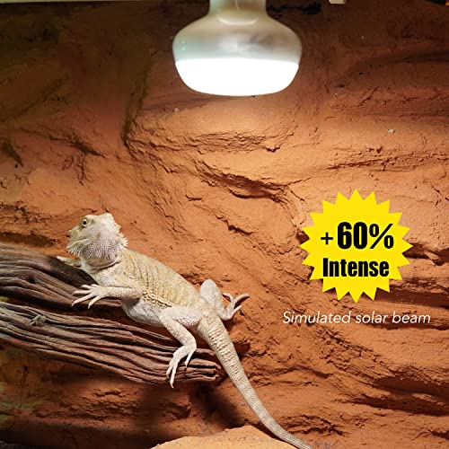 Reptile Heat Lamp, 2 Pack 75W Intense Basking Bulbs Light for Reptiles, UVA Daylight Basking Light for Bearded Dragon, Lizard, Gecko,Turtle, Reptile Heat Bulb - color: 2-pack Reptile Heat Bulb