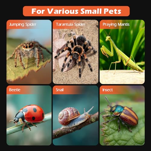 AZV Jumping Spider Enclosure Escape Proof Praying Mantis Habitat Arboreal Tarantula Terrarium with Magnetic Opening Door Baby Spider House Fully Transparent Acrylic Reptile Tank Insect Cage Bug Cribs - size: Small