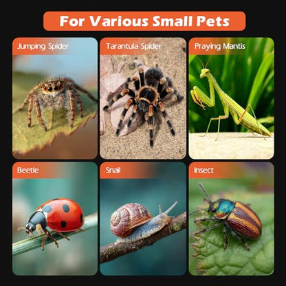 AZV Jumping Spider Enclosure Escape Proof Praying Mantis Habitat Arboreal Tarantula Terrarium with Magnetic Opening Door Baby Spider House Fully Transparent Acrylic Reptile Tank Insect Cage Bug Cribs - size: Small