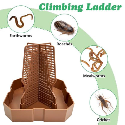 2PCS Reptile Hunting Bowl,5.8"×5.8"×6.1" H Insect Feeding Box with Rope and Tweezers Chameleon Feeder Bowls Hanging Bearded Dragon Bug Bowls Mounted Insect Reptile Feeder Box(Brown,Large) - color: Brown, size: Large:5.8"L×5.8"W×6.1"H