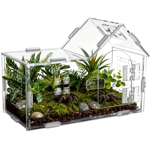 Large Jumping Spider Acrylic Enclosure, Clear Acrylic Spider Habitat Box with Adsorptive Door Feeding Hole, Ventilated Small Reptile Terrarium for Small Lizard Snail Cricket Mantis