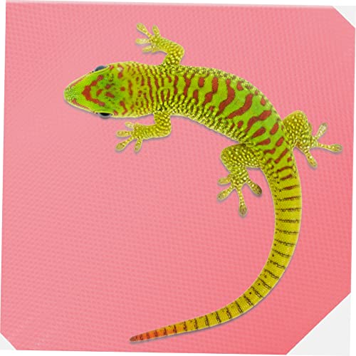 YARNOW 200m Reptile Carpet for Bearded Dragon Gecko Snake Turtle Easy Clean Non-Slip Mat for Terrarium Decor