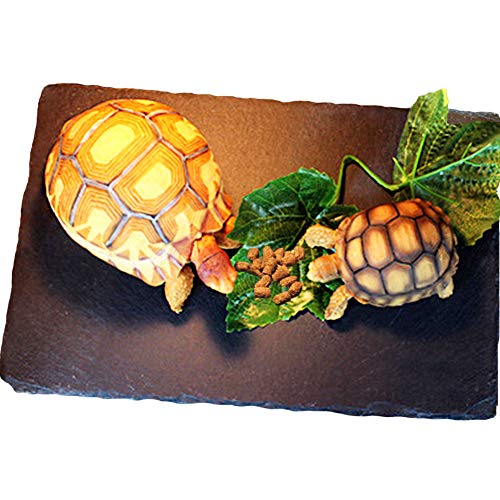 Tfwadmx Reptile Basking Platform Large Tortoise Feeding Bathing Area Turtle Original Rock Plate Grinding Nails Resting Terrace Habitat Decor for Amphibian Reptile Bearded Dragon Chameleon Snake - size: 1pcs-12"x8"