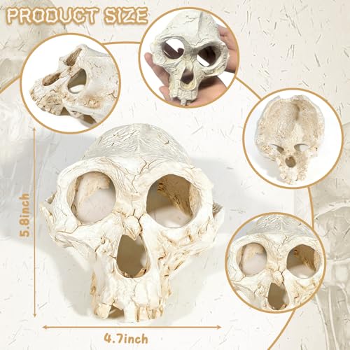 Wowagoga Resin Skull Cave Decor, Gothic Skull Terrarium Cave, Halloween Skeleton Cave Ornament, Aquarium Reptile Hideout, Desktop Home Office Spooky Decoration