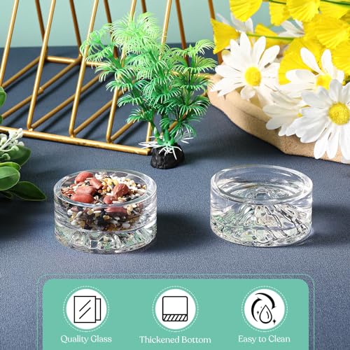 Baderke 2 Pcs Hamster Water Bowls Glass Hamster Food Bowls 35ml Mountain Style Drinking Container Anti Turning for Guinea Pig Gerbils Mice Rats Chinchilla Small Pets(Clear and Rainbow) - color: Clear and Rainbow