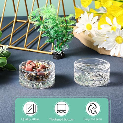 Baderke 2 Pcs Hamster Water Bowls Glass Hamster Food Bowls 35ml Mountain Style Drinking Container Anti Turning for Guinea Pig Gerbils Mice Rats Chinchilla Small Pets(Clear and Rainbow) - color: Clear and Rainbow