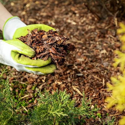 GARDENWISE Premium Brown Wood Mulch for Landscaping, Gardens, Lawns, Potting Media, and Potted Plants (0.2 CF - 4.8 L - 5 QTS) - color: Brown Wood Mulch, size: 0.2 CF - 4.8 L - 5 QTS