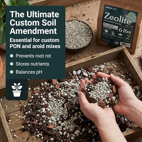 Zeolite Regular 6 lbs, Clinoptilolite 1/8"–1/4" (3–6 mm), Soil Amendment for Succulents, Bonsai & Plants, Improves Drainage and Moisture Balance, Decorative and Aquarium Use - style: Regular - 6 lbs