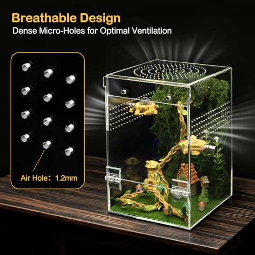 Jumping Spider Enclosure Starter Kit,Escape Proof Forest Terrarium | Praying Mantis Terrariums,Transparent Acrylic Complete Bug Habitat,All In One Arboreal Tarantula Cribs Cage,Insect Container - size: Large