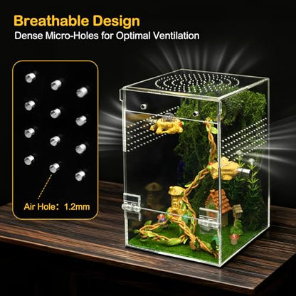 Jumping Spider Enclosure Starter Kit,Escape Proof Forest Terrarium | Praying Mantis Terrariums,Transparent Acrylic Complete Bug Habitat,All In One Arboreal Tarantula Cribs Cage,Insect Container - size: Large