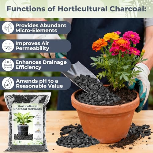 Sukh Horticultural Charcoal for Plants - 1.4Qt. Natural Earth Regulated Supplement for Potting Soil Indoor Plants, Organic Biochar, Succulent Soil, Paphiopedilum, Bonsai, Terrarium - size: 1.4Qt.