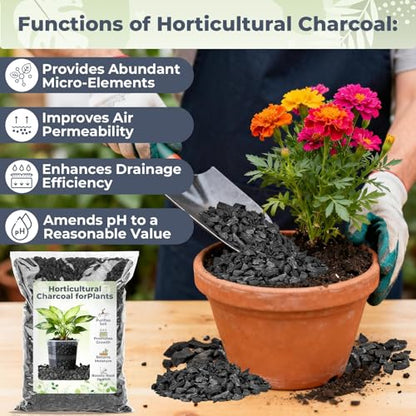 Sukh Horticultural Charcoal for Plants - 1.4Qt. Natural Earth Regulated Supplement for Potting Soil Indoor Plants, Organic Biochar, Succulent Soil, Paphiopedilum, Bonsai, Terrarium - size: 1.4Qt.