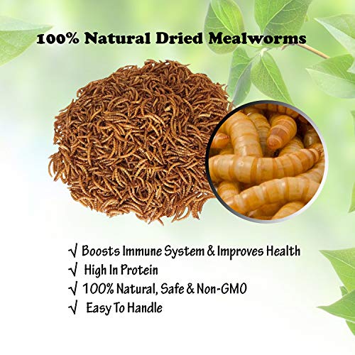 Amzey Appetizing Mealworms 22lbs-100% Non-GMO Dried Mealworms - High-Protein Meal Worm Treats -Perfect for Your Chickens,Ducks,Wild Birds,Turtles,Hamsters,Fish - size: 11 Pound (Pack of 2)