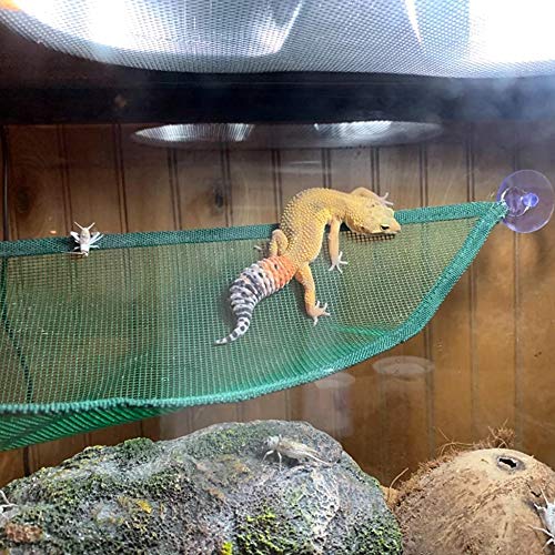 ADOGGYGO Bearded Dragon Lizard Hammock, Reptile Lounger Ladder, Bearded Dragon Hammock Accessories for Geckos Lizards Reptile (Green)