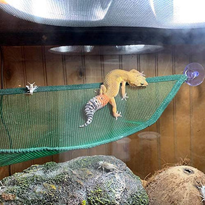 ADOGGYGO Bearded Dragon Lizard Hammock, Reptile Lounger Ladder, Bearded Dragon Hammock Accessories for Geckos Lizards Reptile (Green)