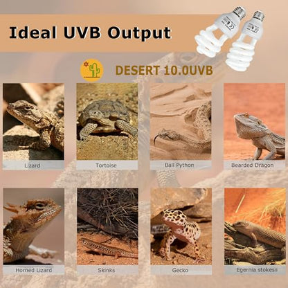 UVB 10.0 Reptile Light 13W, Compact Fluorescent Lamp，Coil UVB Desert Bulb–Lighting for Bearded Dragons, Lizards, Tortoises, Snakes, Geckos, Amphibians & Small Reptile Tanks