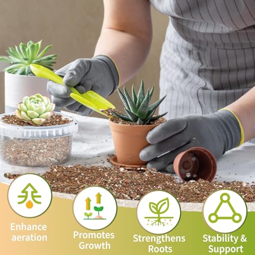 Doter Succulent & Cactus Soil Potting Mix 1qt, Chunky Dirt with Fast Draining Fits for Bonsai, Terrarium and Houseplant - color: Succulent & Cactus Soil, size: 1qt