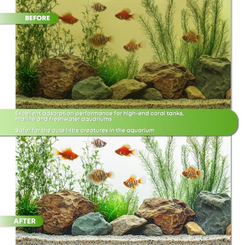MagTool Aquarium Activated Carbon, Natural Coconut Shell Activated Charcoal for Freshwater, Planted, and Reef Tanks – Removes Odors, Discoloration & Impurities(1000ml with Fine Mesh Bag)