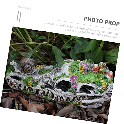 Homoyoyo Terrarium Decor Animal Decor Resin Crafts Dinosaur Garden Statue Snail Ornament Halloween Room Decorations Resin Snail on Dinosaur Skull Dinosaur Skull Adornment Garden Adornment