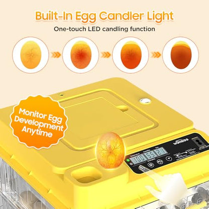 Egg Incubator - 2026 New Egg Incubator with Automatic Egg Turning and Humidity Control,Large Poultry Hatcher for Chickens Birds Ducks (288 Eggs)