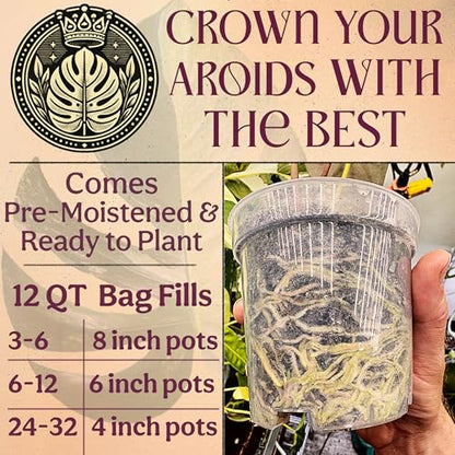 Craft Aroid Potting Mix- Elite Alocasia, Philodendron, Monstera Soil Mix, Chunky, Well Draining Potting Soil for Indoor Plants, All Tropical Plants & Houseplants, Peat Free 12QT - size: 12 Quart