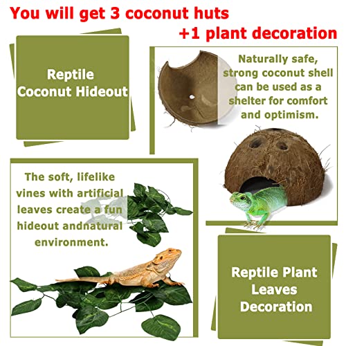 Hamiledyi Reptile Hideouts Natural Coconut Shells Hut Hermit Crab Climbing Toys and 4 Pcs Humid Hide for Leopard Gecko Moist Reptile Hide Box for Spider Snake Chameleon