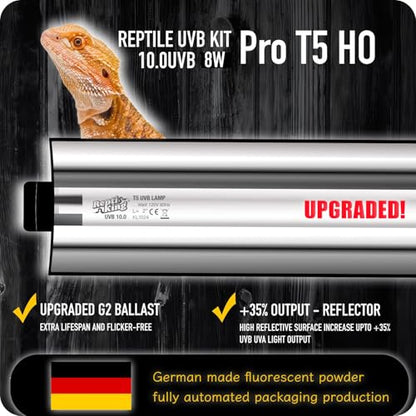 Upgraded T5 UVB Reptile Light, 10.0 UVB 8W German Made Fluorescent Lamp and Fixture Kit, for Desert-Dwelling Reptiles, Bearded Dragon,Tortoise, Snake, Strip Linear UVB Lamp Bulb,12 Inch - size: 8W Reptile T5 UVB Light Kit