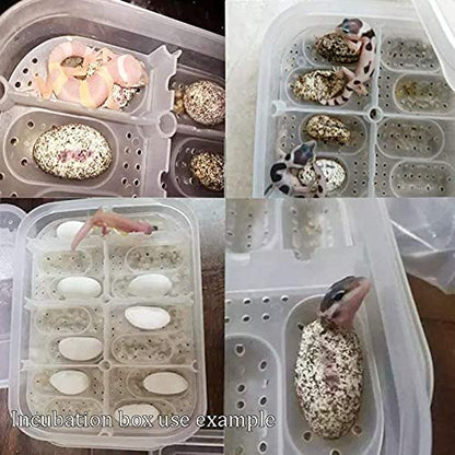 Still Awake Reptile Egg Incubator Professional Hatcher Hatching Box Case Tray Plastic Breeding Incubator for Hatching Snake,Lizards, Reptiles,Gecko(12 Slots with Thermometer)