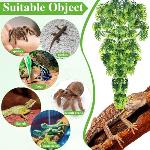 Suncalla 8 Pack Reptile Plants Terrarium Hanging Plant Vine Boston Climbing Terrarium Plant with Suction Cup for Bearded Dragons Lizard Crested Gecko Snake Crab Tank(Popular Series,Green) - style: Popular Series