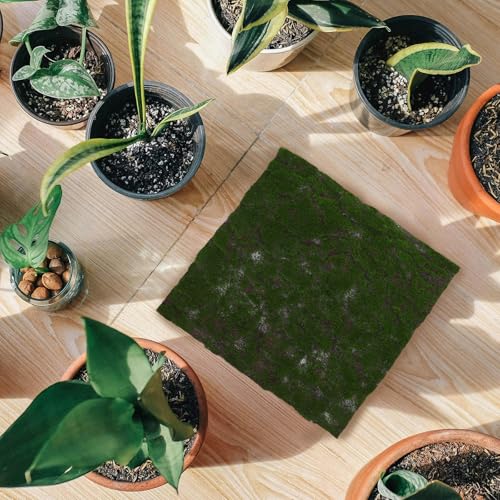 Artificial Moss Grass Mat 30cm Faux Moss Turf for Crafts Reptile Terrariums Decorative Fake Grass Placemat Indoor Gardening Wall Decor