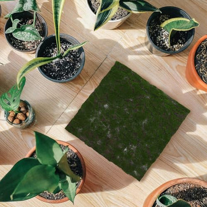 TOYANDONA Artificial Moss Grass Turf Mat 30x30cm Faux Moss Carpet for Home Garden Wedding Decor Reptile Terrarium Indoor Outdoor Artificial Greenery