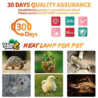 LUCKY HERP 100W Ceramic Heat Emitter, Reptile Heat Bulbs, Ceramic Heat Lamp for Reptiles, Amphibian, Chicken, Dog, Cat (2-Pack) - size: 100