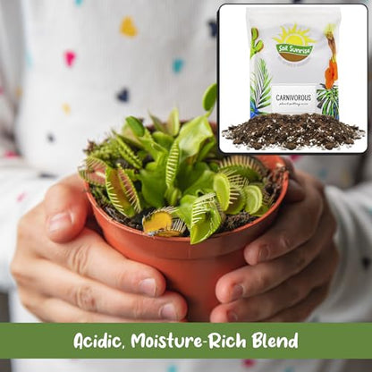 Soil Sunrise Carnivorous Plant Potting Soil Mix (12 Quarts) Custom Blend for Venus Fly Traps, Sundews, and Pitcher Plants - size: 12 Quarts