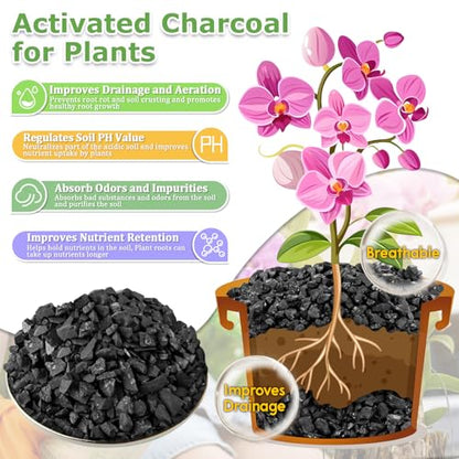 Legigo 10 LB Organic Leca Clay Pebbles & 2 QT Horticultural Charcoal, Natural Soil Amendment for Drainage, Aeration, and Healthy Indoor Plants, Orchids, Hydroponics & Terrariums