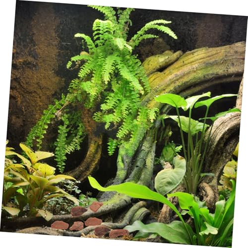 BESPORTBLE 1bag Reptile Terrarium Bark Chips Decor Bedding Tank Liner Chameleon Substrate Reptile Substrate Bark