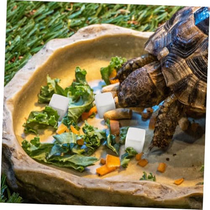 Happyyami 30pcs Natural Mineral Calcium Blocks for Turtles Tortoises Lizards Frogs Chameleons Enhances Water Stability Supports Growth and Versatile Reptile Amphibian Care