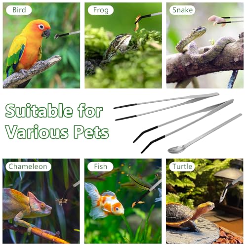 LIQALU 3 Pcs Long Aquarium Tweezers Straight and Curved Tweezers-10.63",Feeding Spoon-8.54", Stainless Steel Reptile Feeding Tongs Tools Feeder for Lizards, Bearded Dragon, Snake Tank Accessories