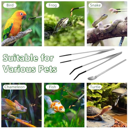LIQALU 3 Pcs Long Aquarium Tweezers Straight and Curved Tweezers-10.63",Feeding Spoon-8.54", Stainless Steel Reptile Feeding Tongs Tools Feeder for Lizards, Bearded Dragon, Snake Tank Accessories