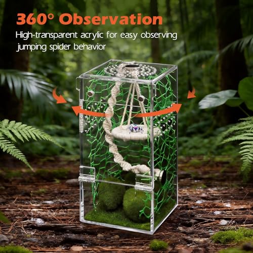 AZV Jumping Spider Enclosure Escape Proof Praying Mantis Habitat Arboreal Tarantula Terrarium with Magnetic Opening Door Baby Spider House Fully Transparent Acrylic Reptile Tank Insect Cage Bug Cribs - size: Small