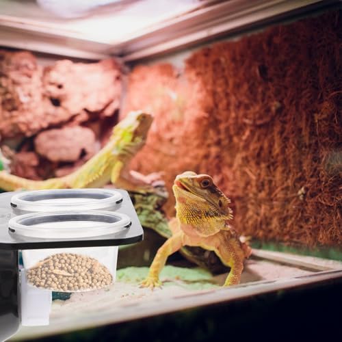 Cabilock Reptile Food Bowl with Suction Cup, Escape Proof Plastic Feeder Dish, Double Compartment Water and Food Basin for Tree-Dwelling Lizards and Geckos, Includes 10 Feeding Cups