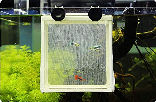 COMOK Fish Hatchery Breeder Box Aquarium Separation Net Nylon Incubator Mesh Fish Breeding Tanks Isolation Box White Square 20PCS - color: White Square