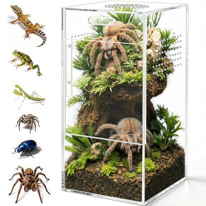 Pre-Assembled Jumping Spider Enclosure, Acrylic Terrarium with Magnetic Door & All-Side Ventilation, Habitat for Spiderling, Mantis, Tarantula, Snail (5"×5"×10") - size: Large Vertical (5"×5"×10")