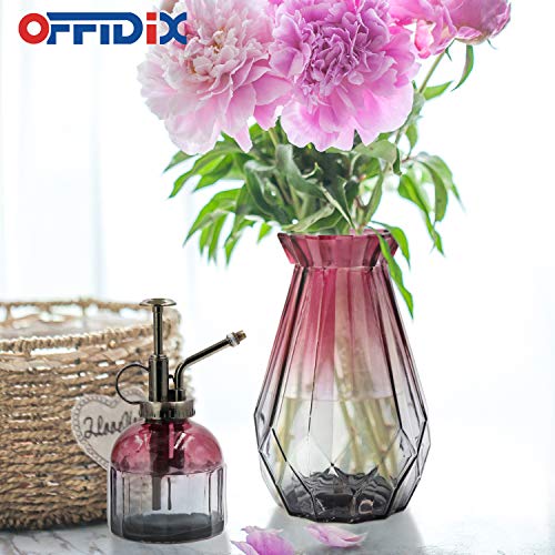 OFFIDIX Plant Mister Glass Spray Bottle, Glass Mister Indoor Plant Mister with Bronze Plastic Top Pump Glass Small Watering Can One Hand for Flower Plants - color: D-Wine Red Gray Gradient