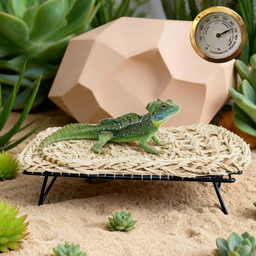 Large Bearded Dragon Tank Accessories13 x7.4"x3" + Humidity Meter Set Rectangle Lizard Bed with Metal Legs Grass Weaving Hammock for Turtle Snake Hermit Crab Frog (Straw Weaving, Rectangle)