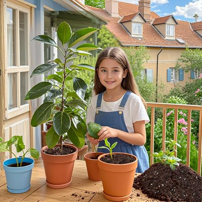 Organic Avocado Tree Potting Soil Mix 2qt, Enhance Growth and Transplant Success for Avocado Plants - size: 2qt