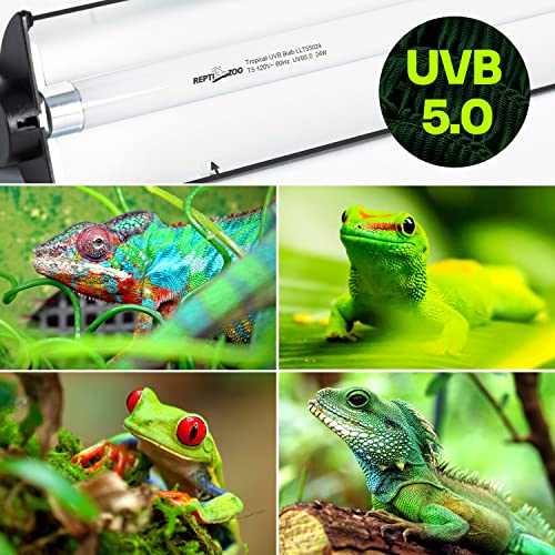 REPTI ZOO 24W Reptile T5 HO UVB Lighting Combo Kit, 22" Light Fixture Reptile Terrarium Hood, with Detachable Curved Reflector and 5.0 UVB T5 Lamp Bulb, ETL certificated - size: 24 Watts