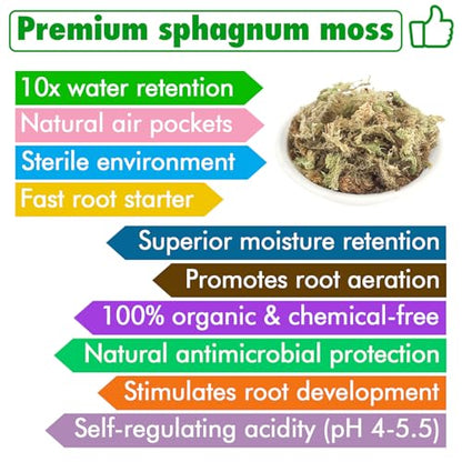 ZeeDix 4 qt Sphagnum Moss for Indoor Plants, Natural Dried Long Fiber Moss for Orchid Repotting, Carnivorous Plants, Succulents, Monstera, Flower & Reptile Terrariums Habitats (3 oz) - size: 3oz