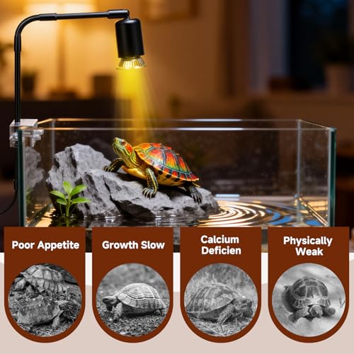 Reptile Heat Lamp, 360° Rotatable UVA/UVB Light Lamp with 2 Pack Basking Bulbs 50W, Suitable for Bearded Dragon, Reptiles, Turtle, Lizard, Snake